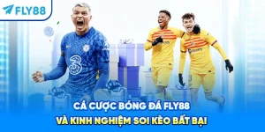 Cá Cược Bóng Đá Fly88 Và Kinh Nghiệm Soi Kèo Bất Bại