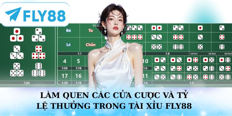 Làm quen với các cửa cược và tỷ lệ thưởng trong Tài Xỉu Fly88
